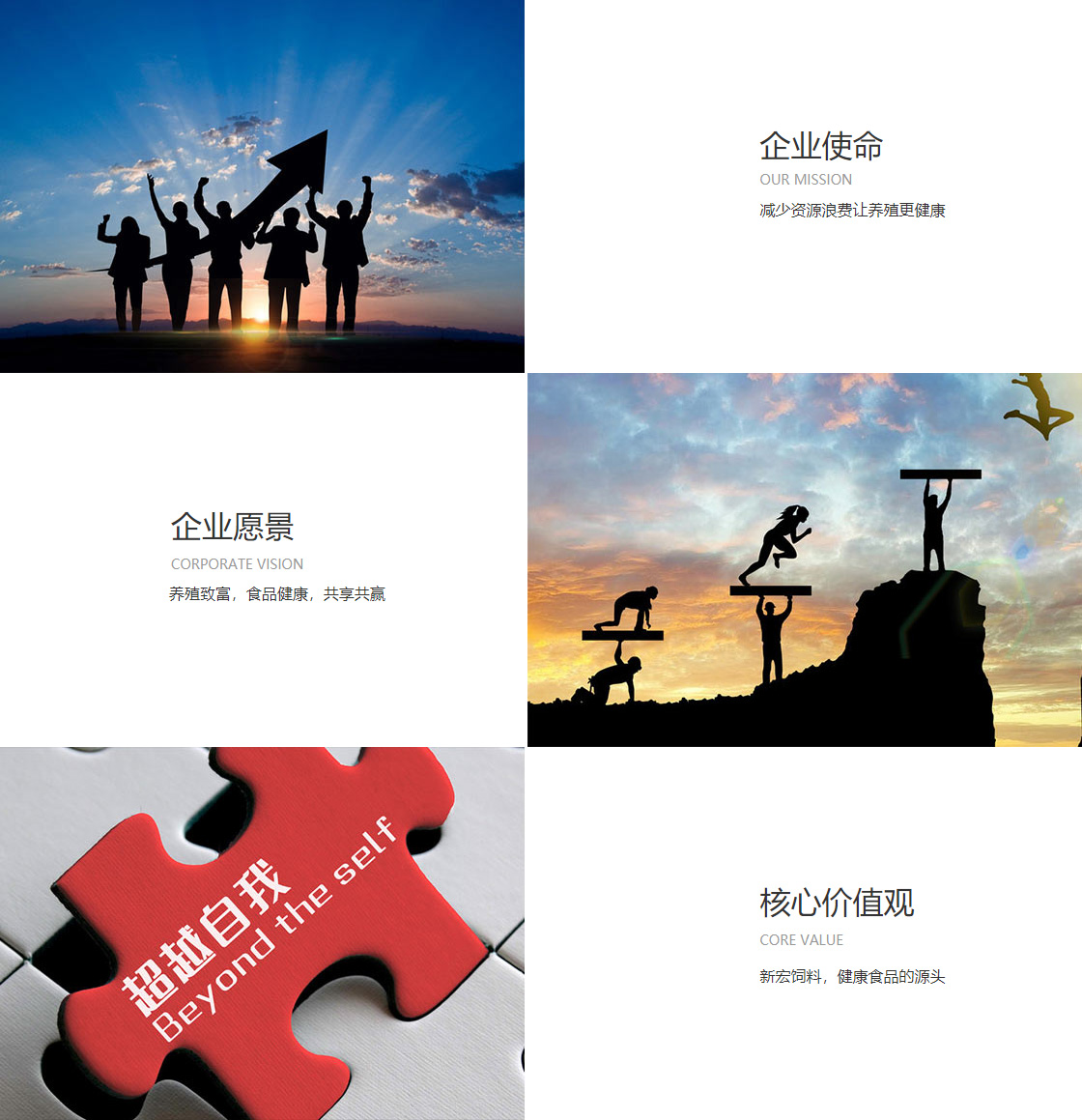 星空体育官方网站入口(图1)